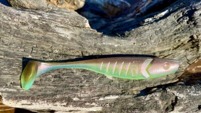 Zander-HU Fast Ayu Red Shiner
