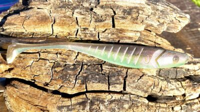 Zander-HU Slim Ayu Red Shiner