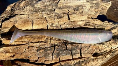 Zander-HU Ayu Red Shiner
